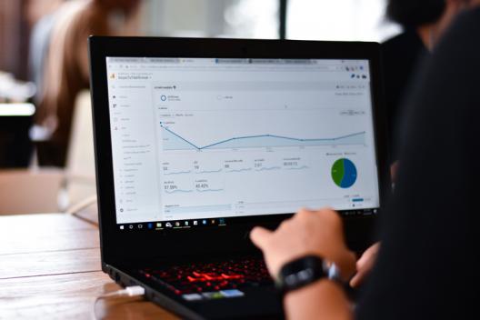 Panda trifft Penguin: Google Updates von damals bis künftig